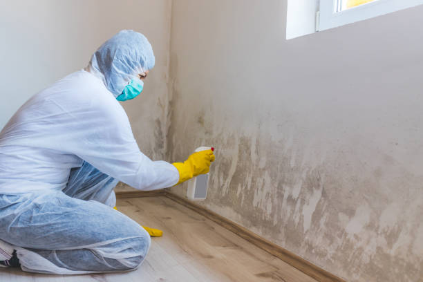 Licensed Mold Testing service in Benson, NC - WQB Mold Removal