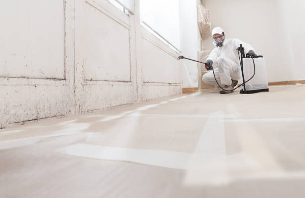 24/7 Emergency Mold Testing experts in Benson, NC