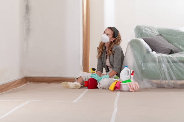 Reliable Mold Testing contractor in Benson, NC by WQB Mold Removal